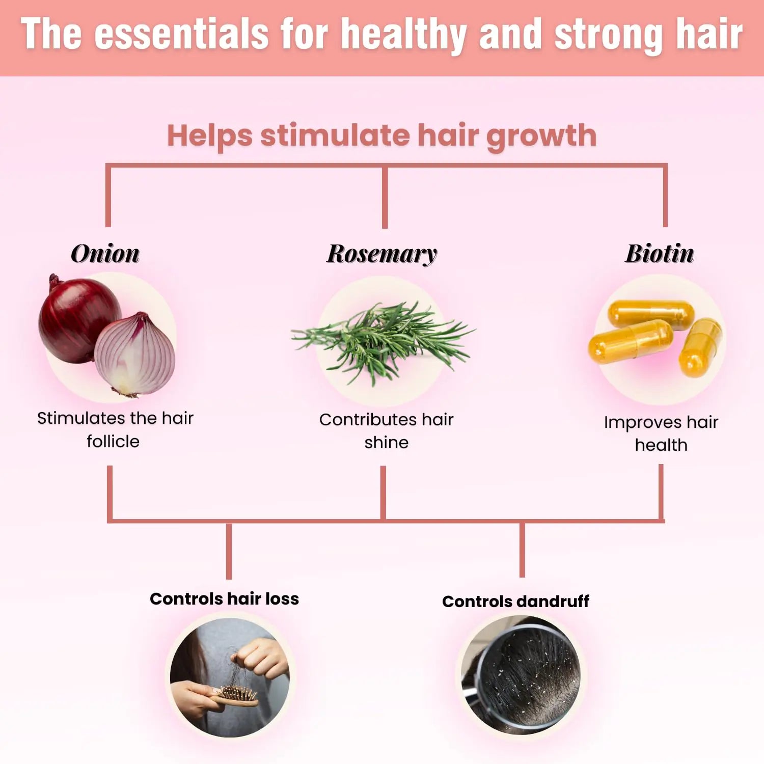 Onion Biotin and Rosemary Shampoo &amp; Treatment for Stronger, Thicker and Longer Strands - Soft Shine, Anti-Hair Loss and Thinning, Growth Formula, Paraben and Silicone Free